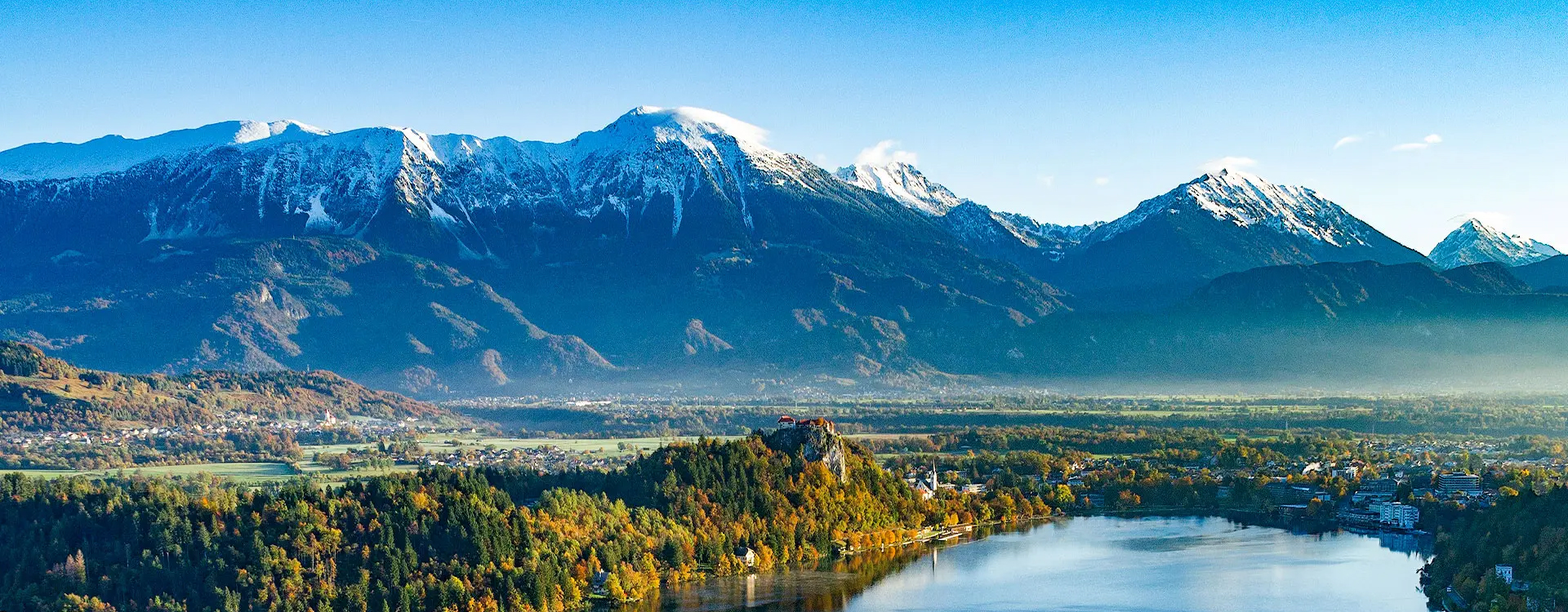 数字化转型赋能者